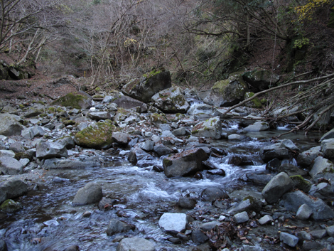 20161206hike (483)